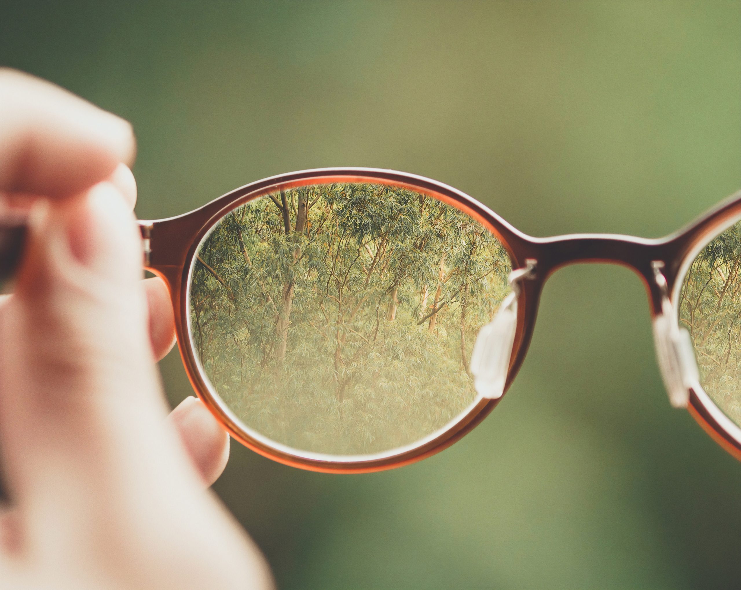 Close up of glasses with the image of a green forest in the lenses
