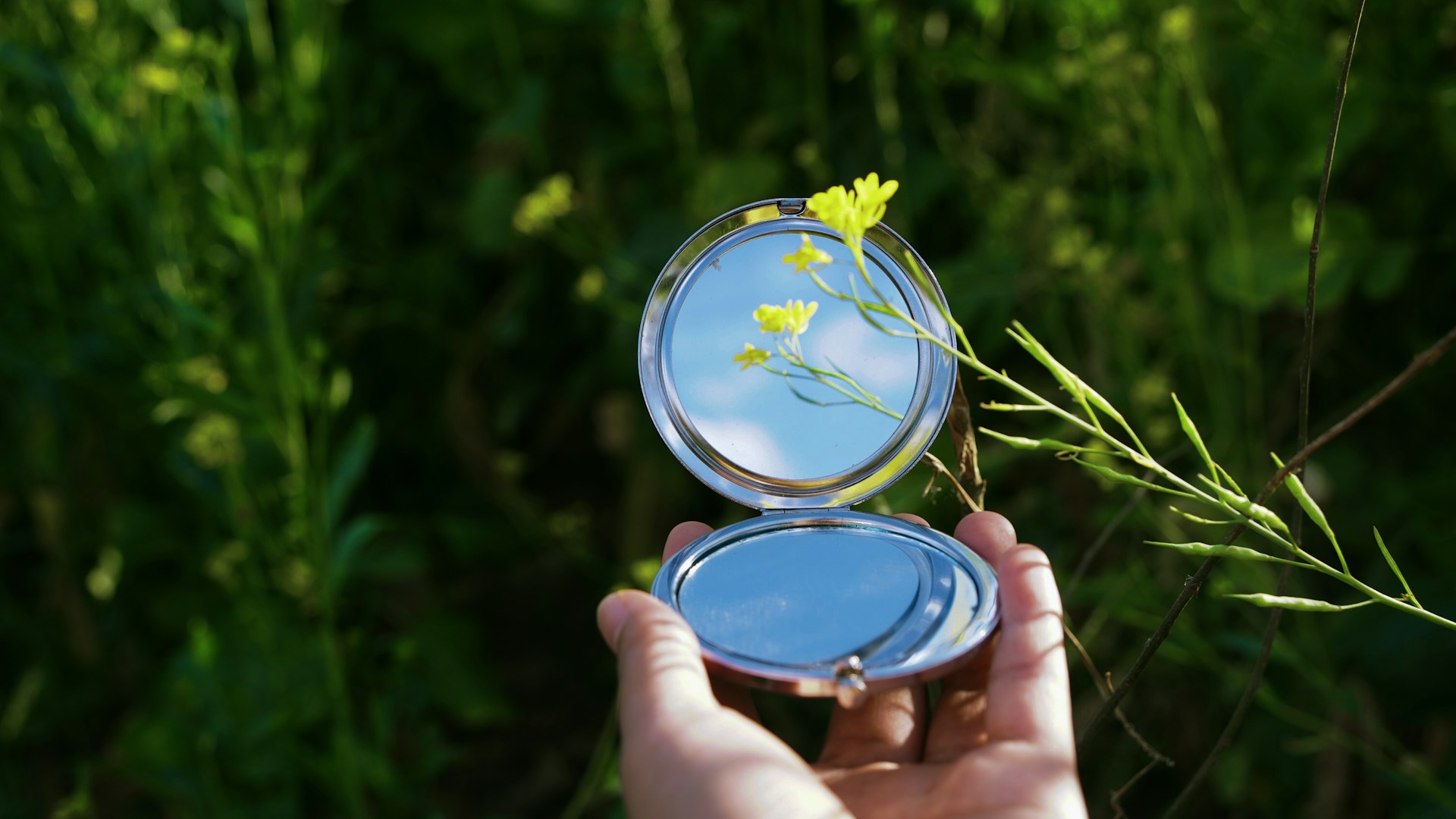Compact mirror held in nature