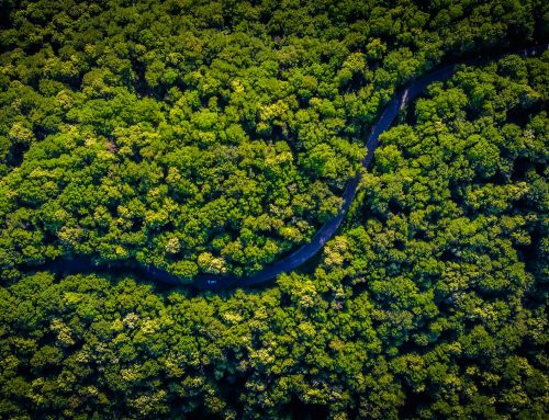 What a Sustainable Event Actually Requires (vs. What Most Guides Tell You)